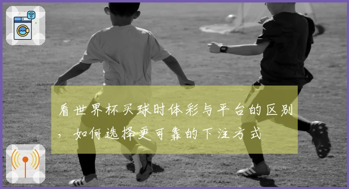 看世界杯买球时体彩与平台的区别，如何选择更可靠的下注方式