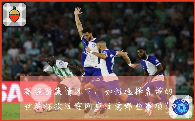 赛程密集情况下，如何选择靠谱的世界杯投注官网应注意哪些事项？
